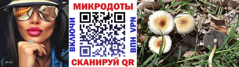 Псилоцибиновые грибы ЛСД кракен сайт Хабаровск даркнет сайт